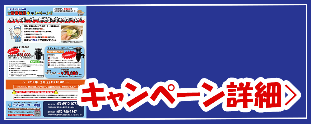 キャンペーン特別価格